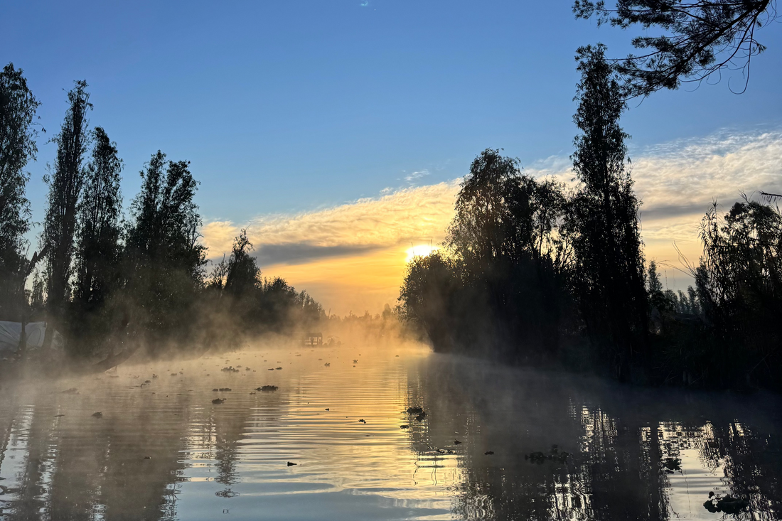 Xochimilco Fuente de Vida