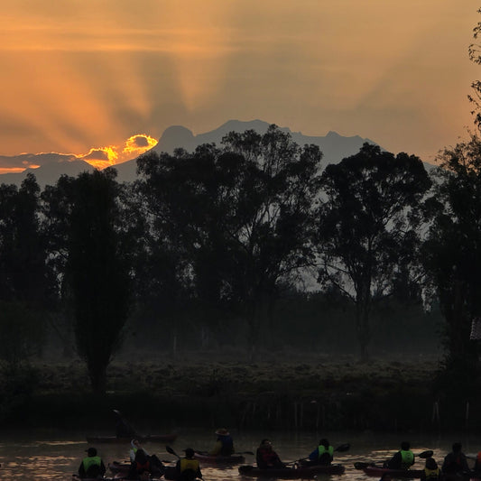 Atardecer en Xochimilco 23 de Mayo