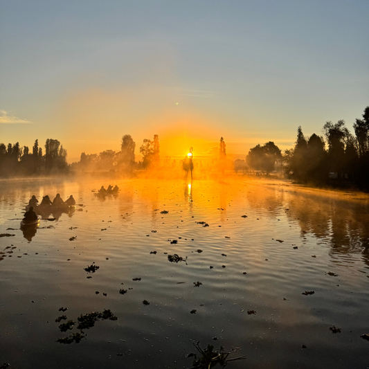 Amanecer en el lago 11 de Mayo